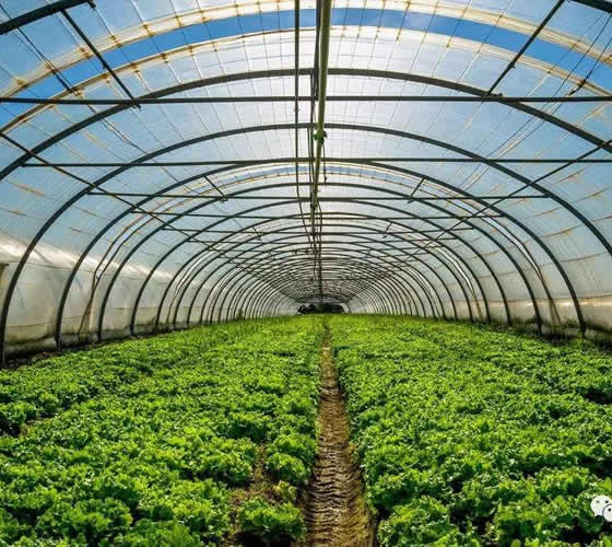 光穩定劑622行業標準——護航您的健康與安全
